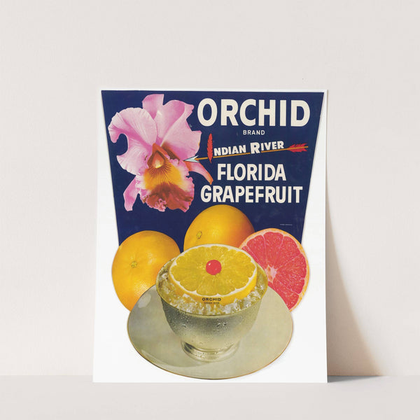 Orchid Brand Florida Grapefruit Label (1930-1950)