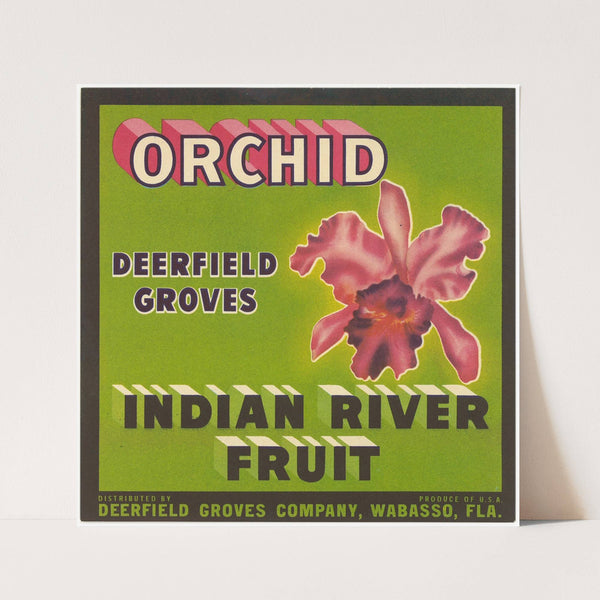 Orchid Citrus Label (1930-1950)
