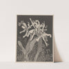 Orchids (c. 1900) by Theo van Hoytema