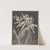 Orchids (c. 1900) by Theo van Hoytema