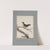 Original water-colour drawings of birds and eggs Pl.15 by John William Lewin