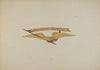 Ornamental Carving – Eagle