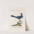 Ornithologia methodice digesta Pl.078 by Saverio Manetti