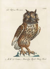 Ornithologia methodice digesta Pl.081