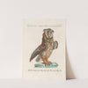Ornithologia methodice digesta Pl.083 by Saverio Manetti