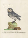 Ornithologia methodice digesta Pl.088