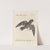 Ornithologia methodice digesta Pl.099 by Saverio Manetti