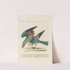 Ornithologia methodice digesta Pl.150 by Saverio Manetti