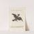 Ornithologia methodice digesta Pl.155 by Saverio Manetti