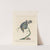 Ornithologia methodice digesta Pl.252 by Saverio Manetti