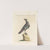 Ornithologia methodice digesta Pl.292 by Saverio Manetti