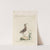 Ornithologia methodice digesta Pl.433 (1767-1776) by Saverio Manetti