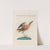 Ornithologia methodice digesta Pl.456 by Saverio Manetti