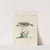 Ornithologia methodice digesta Pl.457 by Saverio Manetti