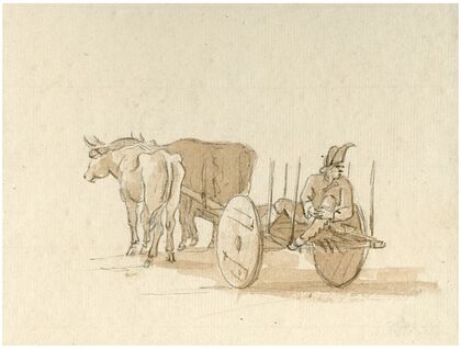 Ossenwagen met boer