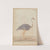 Ostrich by Gangaram Chintaman Tambat