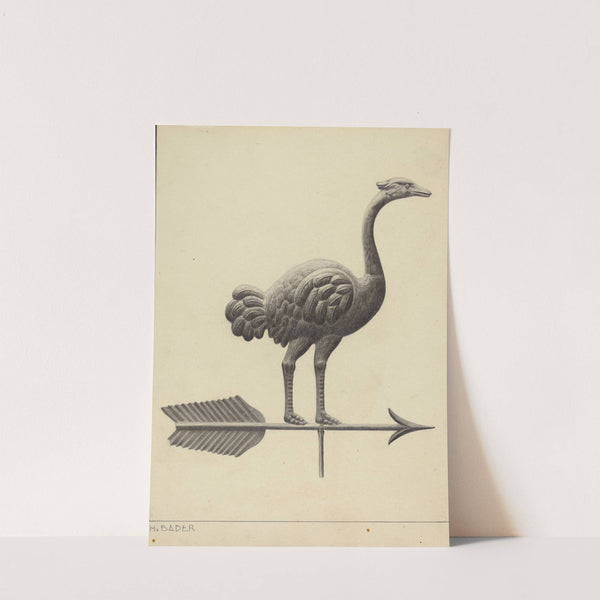 Ostrich Weather Vane by Herman Bader