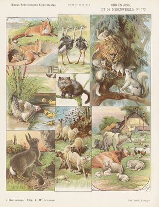 Oud en jong, uit de dierenwereld (1875-1919)