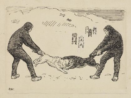 Our fighting dogs (1893-1897)