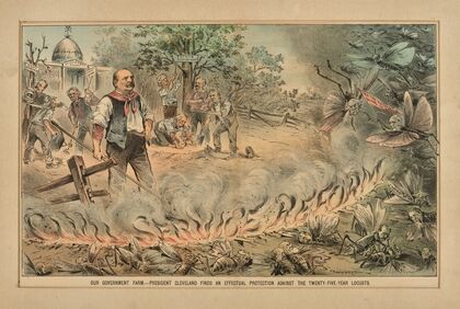Our government farm. President Cleveland finds an effective protection against the Twenty-five Year locusts. (1885)