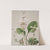 Ourisia by Sarah Featon