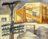 Outdoor Scaffolding