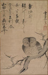 Owl (1630s)