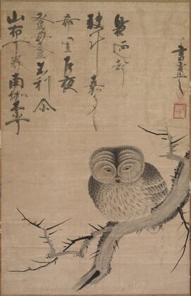 Owl (1630s)