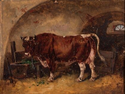 Ox in the barn