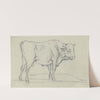 Ox to the right by Max Joseph Wagenbauer