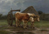 Oxen Pulling A Cart