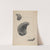 Oyster Shaped Flask by Francis Law Durand