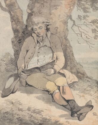P. Wilkinson Esq. Sitting Under the Shade of an Oak Learning to Whistle