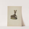 Pa. German Chalkware Deer by Mina Lowry