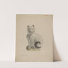 Pa. German Seated Cat by Andrew Topolosky
