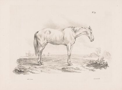 Paard in een weiland (1835) — size preview