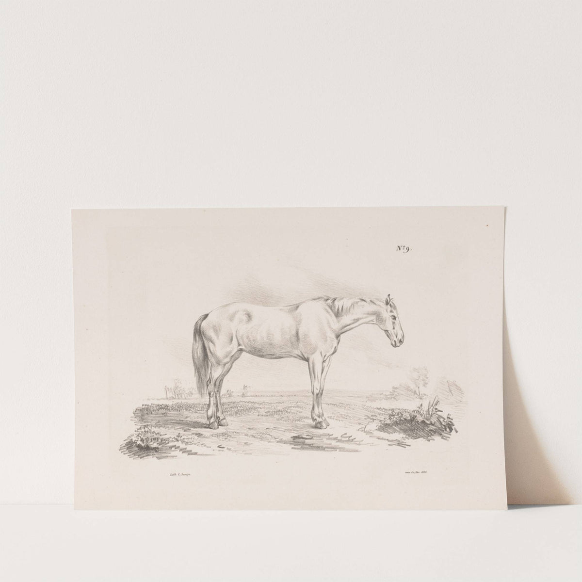 Paard in een weiland (1835) by Pieter Frederik van Os