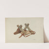 Pack Saddle by Cornelius Christoffels