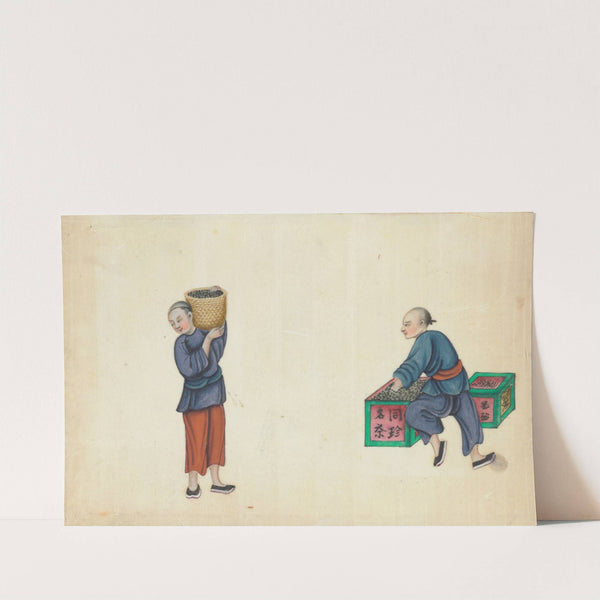 Packing tea (1800-1899)