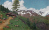 Paesaggio con larici