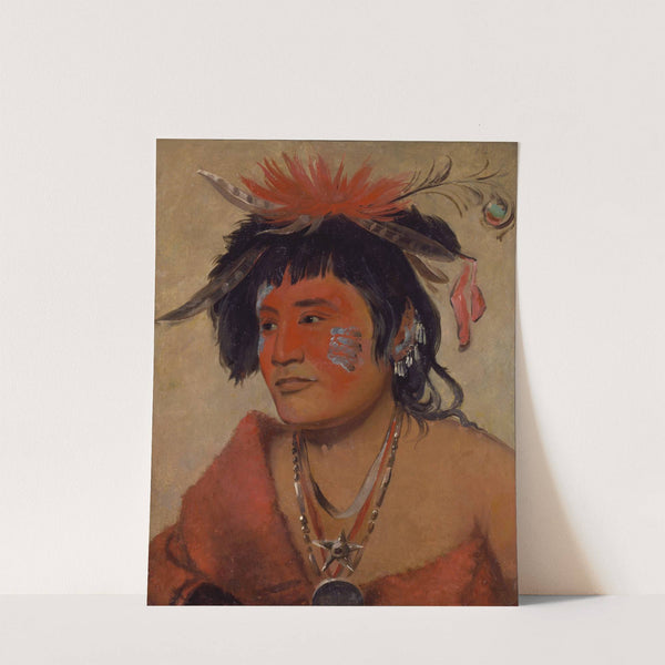Pah-Shee-Náu-Shaw, a Warrior by George Catlin