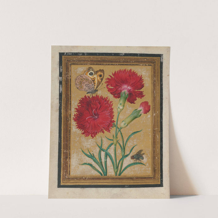 Paintings of Flowers, Butterflies, and Insects Pl.4 by Jacques Le Moyne de Morgues