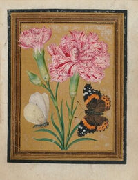 Paintings of Flowers, Butterflies, and Insects Pl.5