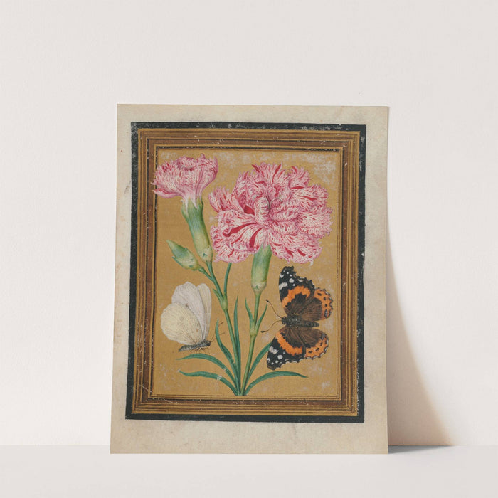Paintings of Flowers, Butterflies, and Insects Pl.5 by Jacques Le Moyne de Morgues