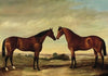 Pair of Horses
