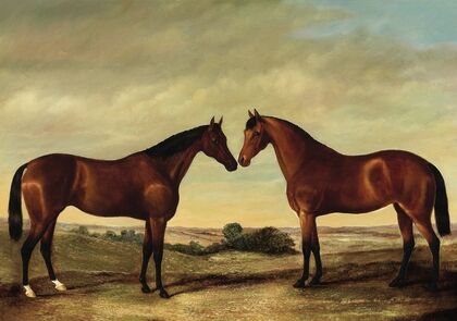 Pair of Horses