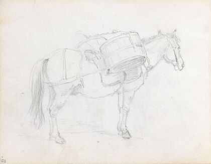Pakkhest (1848)