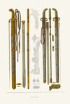 Palashi 2
