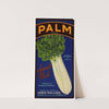 Palm Brand Celery Label (1930-1950)