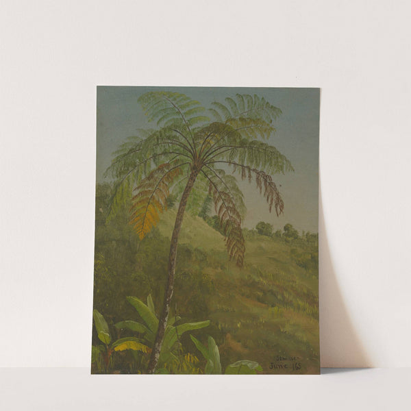 Palm Tree, Jamaica (1865) by Frederic Edwin Church